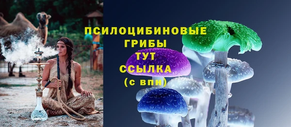 apvp Балахна