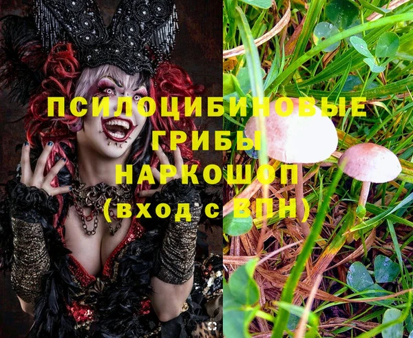 apvp Балахна