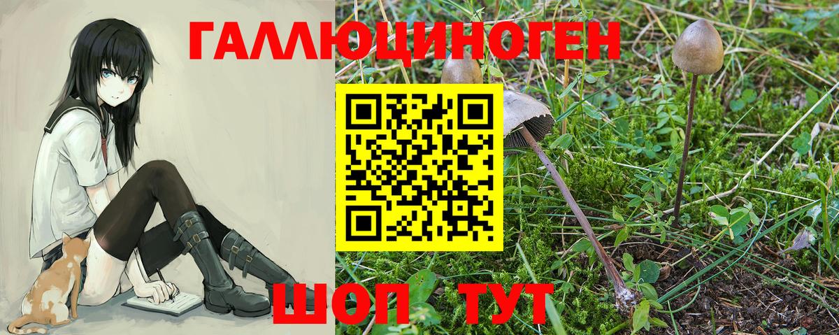Псилоцибиновые грибы мицелий  Вход с VPN  Геленджик  Галлюциногенные грибы Magic Shrooms 