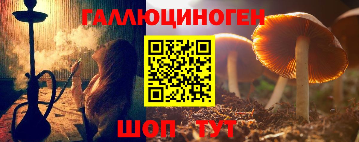 Псилоцибиновые грибы MAGIC MUSHROOMS  Геленджик 