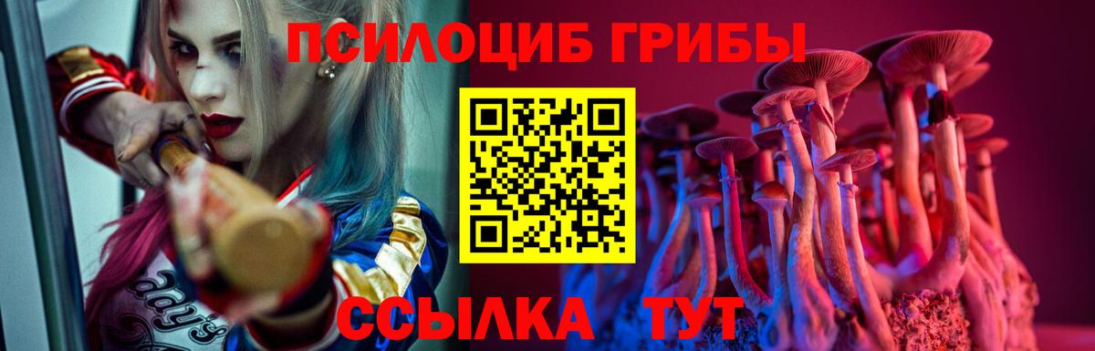 Галлюциногенные грибы ЛСД Геленджик